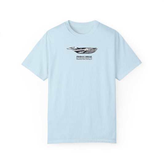 Light blue t-shirt featuring a black and gray linoleum block print illustration of a Finback whale.   Below the image, text reads "Finback Whale".  Below the name other text reads 60 to 80 feet 40 to 64 tons scientific name: Balaenoptera Phylsalus.