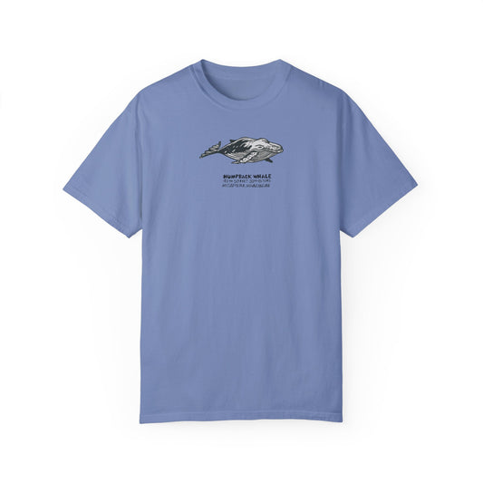 Washed denim blue colored t-shirt featuring a black and gray linoleum block print illustration of a humpback whale.  Below the image, text reads "Humpback Whale".  Text below that reads 40 to 50 feet 30 to 45 tons with the scientific names: Megaptera Novaeangliae