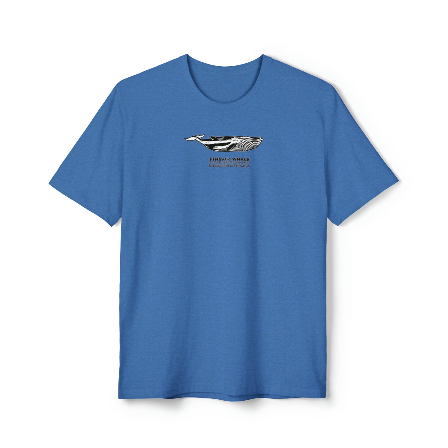 Black, white, and gray Finback Whale on blue heather color unisex men's t-shirt. Text under image says Finback Whale plus height weight and Latin name.