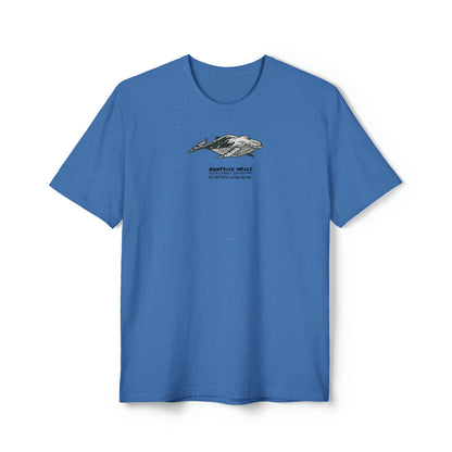 Black, white, and gray Humpback Whale on blue heather color unisex men's t-shirt. Text under image says Humpback Whale plus height weight and Latin name.